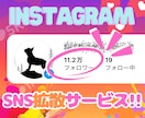 インスタ⭐日本人女性フォロワー100人⭐増やします ♦️高品質＆減少率低♦️最大1,000人まで！ イメージ2
