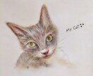 猫ちゃんのエネルギーを読み取り似顔絵を描きます ペットの猫ちゃんの愛の波動を写真から読み取りイラストにします イメージ4