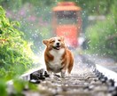 隙間時間を潰したい時お話し聴きます 私が寄り添って癒しお相手します、 イメージ7