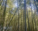 あなたの話をただ、ひたすら聞きます 何も気にせずに話して少し心を休めるのはいかがでしょう？ イメージ1