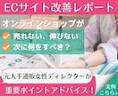 ECを伸ばす最重要ポイントを個別アドバイスします EC運営のお悩みを経験豊富な女性ECプロに何でも聞けちゃう！ イメージ1
