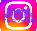 Instagramのフォロワーを増加させます インスタグラムのフォロワーを1000人増加 イメージ1