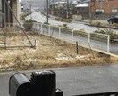 私の撮影した写真を提供します ホームページ・ブログに使う素材を探している方へ。 イメージ1