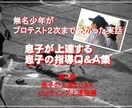 少年野球　中学生野球指導相談　（お父さんの為の息子の指導のお手伝いを致します。）　 イメージ3