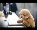 獣医師がブログ記事、コラム記事書きます 獣医師が様々な記事書きます。SEO対策も イメージ1