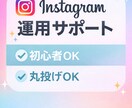 初心者向けインスタ改善します フォロワー0〜300人専門設計 イメージ1