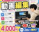 動画のカット編集・テロップ・BGM挿入しますます YouTube・SNS向け動画を見やすく仕上げます イメージ1