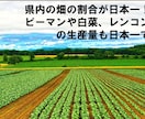 ８.リハビリ教材を提案します 様々なバリエーション！明日からすぐに使える！ イメージ4