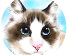 ふんわり可愛い♪水彩画風うちの子アイコン描きます オーダーメイドの愛猫イラスト♡癒し／ペット／似顔絵／SNS イメージ9