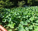 会社やアルバイトでのお悩みの相談にのります 前向きに、プラス思考でお話しましょう！！ イメージ8