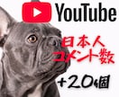 Youtube✨魅力的な日本人コメント付与します コメント20件✨動画に“勢い”と“信頼感”をプラス イメージ1