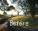 あなたの画像修正(編集)します 撮影失敗やお気に入りの写真をより輝かせます！ イメージ7