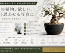 塊根植物・アガベなど植物を制作します 欲しくなる”世界観”にととのえます イメージ2