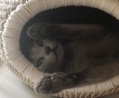 誰かとちょっと話したい、心のもやもやをお聞きします 疲れた、しんどい・・・。なんとなく話を聞いてほしい。 イメージ2