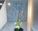 あなたの生け花を丁寧に添削・アドバイスします 生け花未経験でも安心　写真を送るだけのオンライン華道レッスン イメージ9