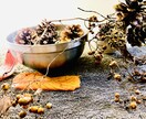 商品の魅力を伝えます あなたの商品にあったイメージ写真や動画を一緒に作りましょう イメージ3