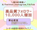 SNSのフォロワーを10,000人増加させます X（Twitter）,Instagram,TikTok イメージ1