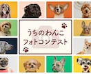 お手頃価格でサムネイル・バナー・ヘッダー制作します 【圧倒的】にハイクオリティな案をご提案 イメージ5