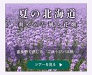 サービスをより魅力的に見せるバナー制作いたします 上品かわいい／高可読性、要点はくっきり。 イメージ4