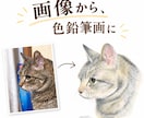 原画郵送：写真からペット肖像画を色鉛筆で描きます 大切な「うちの子」を、世界に一枚だけの手描き作品に イメージ2