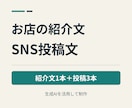 お店の紹介文とSNS投稿文を作成します 紹介文1本＋投稿3本／合計600字・修正1回 イメージ1