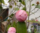 気難しい舅・姑の、対応力up・応援致します 干渉、押し付け、我が儘、焼きもち、当てこすり、で悩む方へ イメージ1