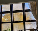 医療小説作成のお手伝いをします 医療現場のリアルを、生身の看護師がアドバイスします。 イメージ2