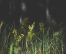 お二人の現状や問題を紐解き、片思いを成就に導きます 【その恋、諦めかけていませんか？】愛ある結末へあなたを導く。 イメージ9