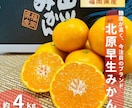 お店やネット販売用の簡単なバナー・POP作成します 大雑把なご依頼でもOK！お気軽にご相談ください。 イメージ5
