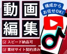 デザイン作成から◎ショート動画を編集いたします 構成作成からOK！悩んだらご相談ください！ イメージ1