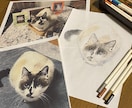 愛犬・愛猫を色鉛筆またはデジタルでリアルに描きます ペットとの思い出をあったかい似顔絵でお手元に イメージ4