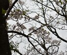 天からの今必要なメッセージを届けます ～心が落ち着かないとき、モヤモヤするときに～ イメージ6