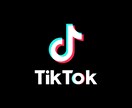 TikTok shopをサポートします 元TikTok運用側が教えるゼロから売上 イメージ2