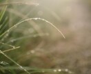 雨や曇りの日はここに電話☎︎ 心、晴れにします ＊突然襲ってくるココロ細さ、吐き出してみない？ イメージ2
