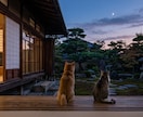 あの日の選択の答え合わせ。魂を霊視します 「私のせいだ」という深い後悔を、魂の真実で終わらせましょう。 イメージ1