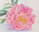 色鉛筆でリアル画を描きます ご自宅やお店の壁を彩りたい方におすすめです イメージ1