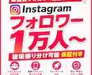 Instagramフォロワー＋1万人以上増やします ⭐️インスタグラム複垢振り分け可能⭐️ゆっくり増加可能！ イメージ1