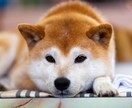 心の悩み、愚痴、どんなお話もお聞きします あなたの心を解きほぐす♪ADHDだから出来るお話し会☆ミ イメージ9