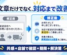 CS対応で使用できるテンプレートを作成、修正します 月商1億円以上のECセラー社員が作成する顧客対応テンプレ イメージ3