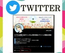 Twitterフォロワー1000人増やします twitter投稿頑張ってるのにフォロワーが伸びないあなたへ イメージ2