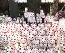 あなたのYouTubeを代わりに宣伝等致します あなたのチャンネルを期間内とことん宣伝拡散致します！ イメージ3