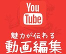 YouTube動画の編集を承ります テンポ良く、見やすい、伝わりやすい動画編集！お急ぎの方も！ イメージ1