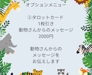 アニマルコミュニケーション 動物さんとお話しします アニマルコミュニケーションと動物さんからのメッセージ付き イメージ4