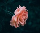 忘れられない想いを本気で成就したい方のみ霊視します すれ違いや意地の張り合い、やり直したい彼と復縁へと導きます。 イメージ5