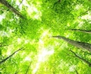 霊視占い鑑定１件まで対応ます 安価で本格的な鑑定を提供させて致します。 イメージ3