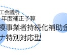 小規模事業者持続化補助を総合サポートします 中小企業診断士が申請書だけではなくHP作成等の相談に乗ります イメージ2