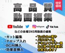 YouTubeなどの動画編集承ります テレビ風やYouTuber風など様々なジャンルに対応します イメージ1