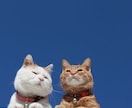 自責がつらい方へ自己対話と心の整理手伝います 自分を大切にしたいあなたの気持ちの見える化をサポートします イメージ2