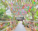 東京都内の写真を撮ってきます 東京都出来になる場所があれば現地調査としてでも写真を撮ります イメージ3