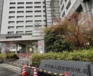 ビザ・在留期間更新許可申請書の作成を代行致します 【日本全国申請代行】在留申請オンラインシステム承認済行政書士 イメージ2